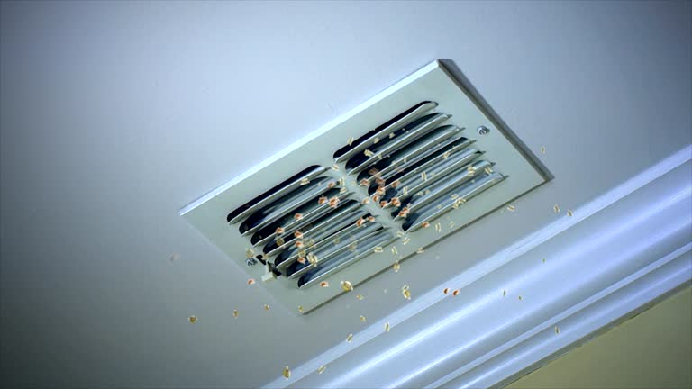 Best Air Duct Cleaning Near Me  in Oak Park Heights, MN